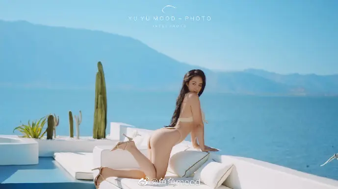 青海人社通操作界面